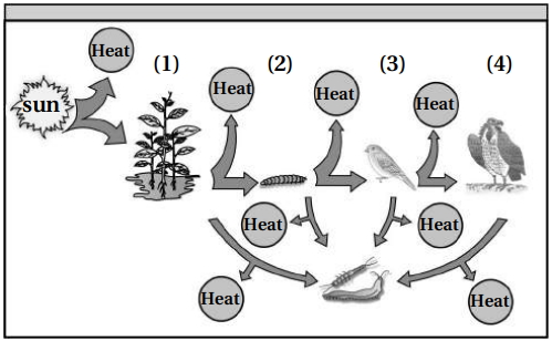 Question diagram
