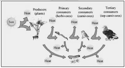 Solution diagram