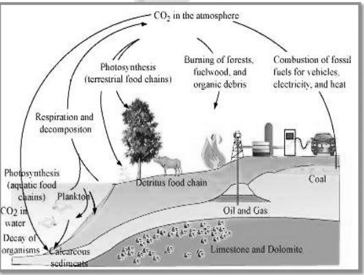 Solution diagram