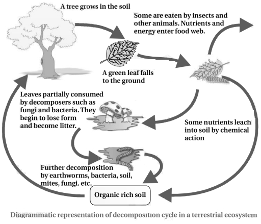 Solution diagram