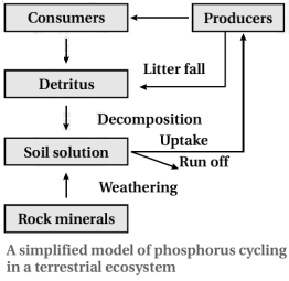 Solution diagram