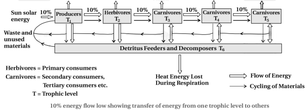 Solution diagram