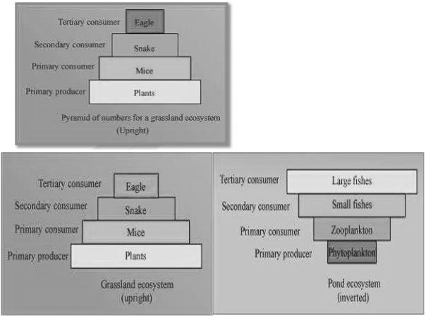 Solution diagram