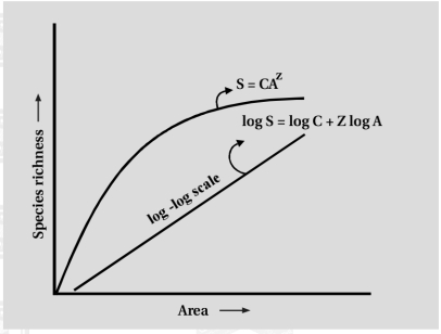 Solution diagram