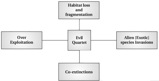 Solution diagram