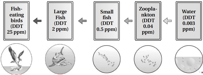 Question diagram