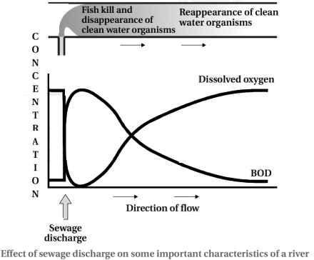 Solution diagram