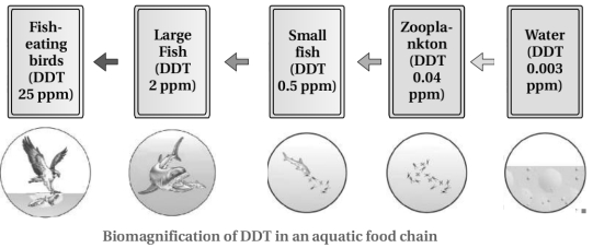 Solution diagram