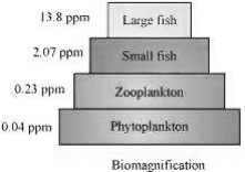 Solution diagram