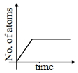 Option C