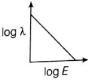 Option C