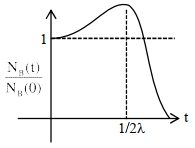 Option C