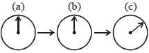 Option D