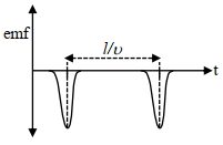 Option D