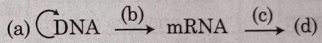 Question diagram