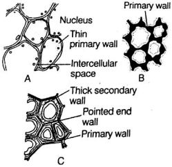 Question diagram