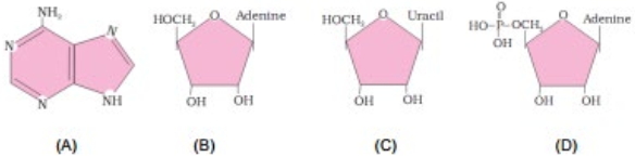 Question diagram