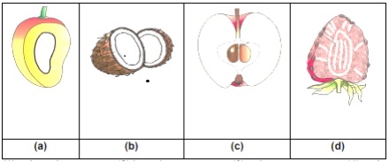 Question diagram