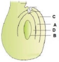 Question diagram