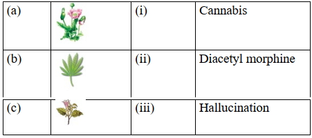 Question diagram