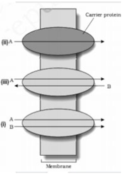 Question diagram