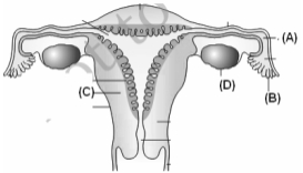 Question diagram