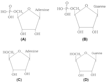 Question diagram