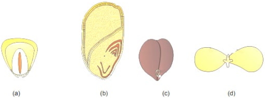 Question diagram