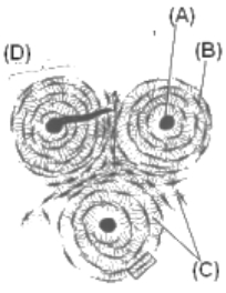 Question diagram