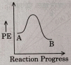 Option B