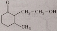 Option B