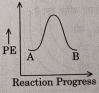 Option C