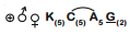 Option C