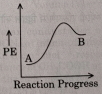 Option D