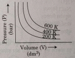 Option D