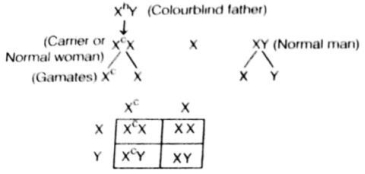Solution diagram