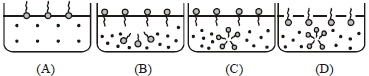 Question diagram