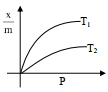 Option B