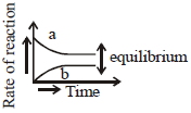 Option B
