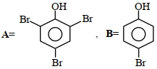 Option B