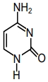 Option C