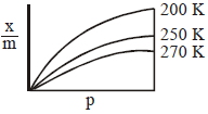 Option C