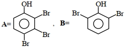 Option C