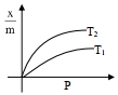 Option D