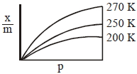 Option D
