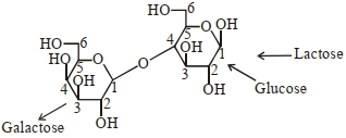 Solution diagram