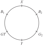 Solution diagram